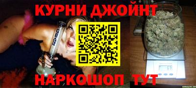 гашик Моздок