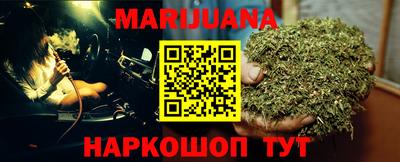 гашик Моздок