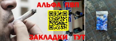 гашик Моздок