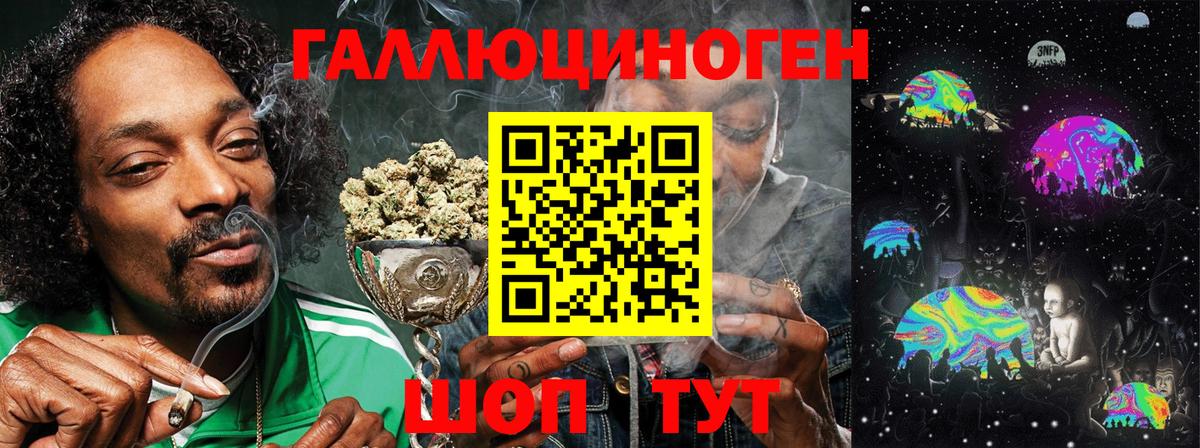 Псилоцибиновые грибы Cubensis  Вход с VPN  где найти   Томск 
